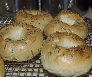 Montréal Bagels FOCACCIA BAGELS
